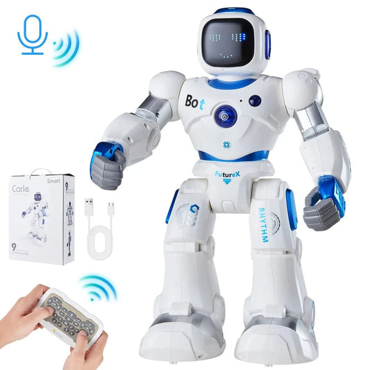 Interactive Programmable RC Robot